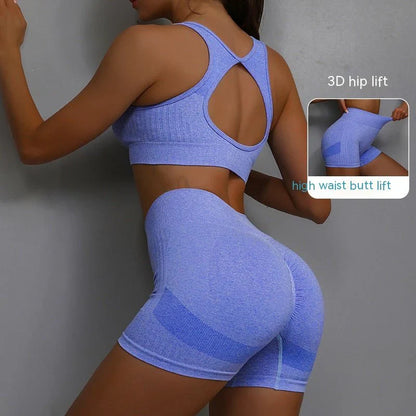 SPORTS BRA & SHORTS SCRUNCH GYM SET